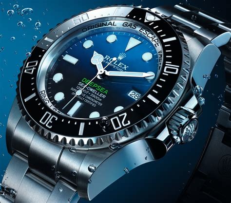 rolex diver watch price